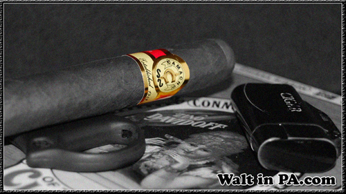 Selective Coloring a Camacho Havana